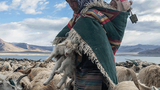 བོད་མིའི་ལུས་པོའི་ཕུང་ཕྲའི་ཐོག་ཞིབ་འཇུག