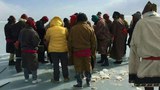 མཚོ་སྔོན་པོའི་གསེར་ཉ་སྲུང་སྐྱོབ་ཚོགས་པར་དཀའ་ངལ་འཕྲད་བཞིན་པ།
