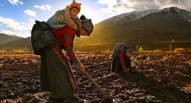 རྒྱ་ནག་གུང་བྲན་སྲིད་གཞུང་འོག་བོད་པའི་བུད་མེད་ཀྱི་འགྲོ་བ་མིའི་ཐོབ་ཐང་།