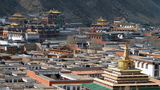 བླ་བྲང་དགོན་པའི་ཡོང་འབབ་གཞུང་བཞེས།