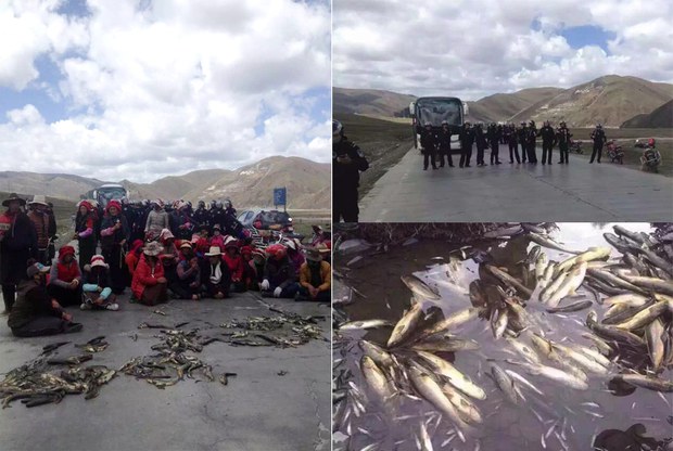 བོད་ནང་གཏེར་ཁ་བརྔོག་འདོན་གྱིས་གཙང་ཆུར་འབག་བཙོག་གི་ཤུགས་རྐྱེན་ངན་པ།