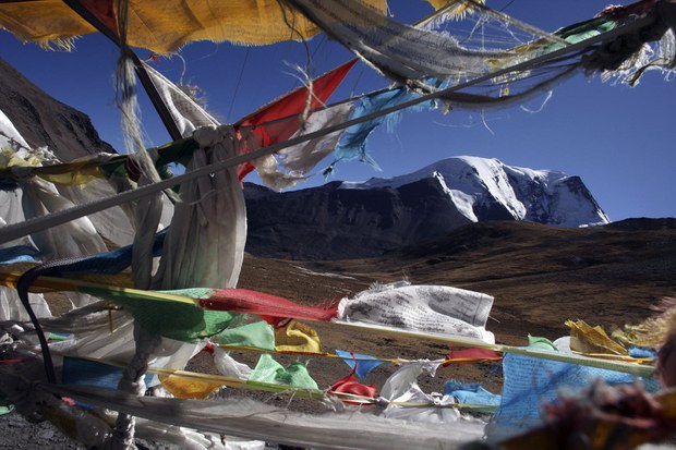 བོད་མཐོ་སྒང་གི་འཁྱགས་རོམ་གྱི་འོག་ཏུ་ཚུད་པའི་དུག་སྲིན་གྱི་ནད་འབུ་ཕྲ་མོ་༡༧༠༠ཙམ་ས་ས་འོག་གི་གཏིང་ནས་བརྔོག་འདོན་བྱས་ཡོད་པ།