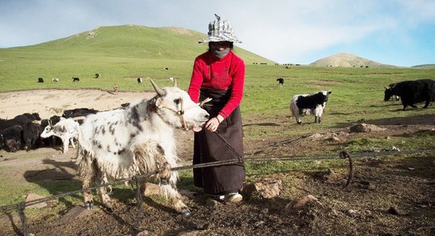 དཀོན་ལོ་ཁུལ་མང་ཚོགས་ཕྱུག་འགྱུར་གྱི་ལམ་དུ་བསྐྱོད་སྐོར་གྱི་ཁྱབ་བསྒྲགས།
