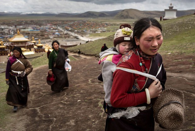 བོད་ནང་ཞིང་འབྲོག་ཁུལ་གྱི་ཕོ་མོ་འདྲ་མཉམ་མིན་པའི་གནས་སྟངས། བོད་ནང་ཞིང་འབྲོག་ཁུལ་གྱི་ཕོ་མོ་འདྲ་མཉམ་མིན་པའི་གནས་སྟངས།