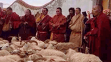 བོད་ནང་རྒྱལ་བའི་སྐུ་ཕྱའི་ཞབས་རིམ་བསྒྲུབས་པ།