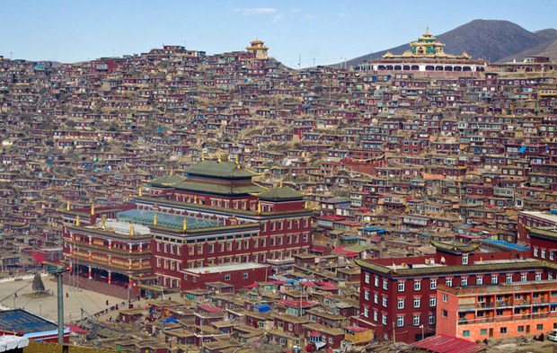 གསེར་རྟ་བླ་རུང་སྒར་གྱི་གྲྭ་བཙུན་ཕྱིར་འབུད་གཏོང་བཞིན་པ།