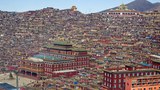 གསེར་རྟ་བླ་རུང་སྒར་གྱི་གྲྭ་བཙུན་ཕྱིར་འབུད་གཏོང་བཞིན་པ།