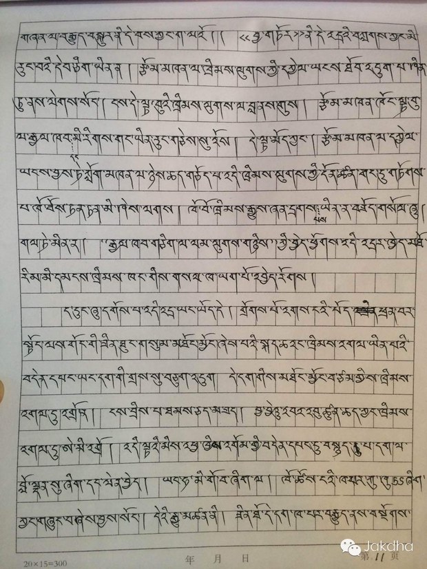 ན་གཞོན་རྩོམ་པ་པོ་ཞོགས་ལྗང་གིས་བཙོན་ནས་བྲིས་བའི་ཞུ་གཏུགས་ཡི་གེ།་༢༠༡༦།༢།༢༧