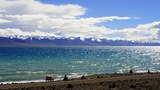 སའི་གོ་ལ་ཡོངས་ཀྱི་ཡུལ་བབ་སྲིད་བྱུས་ལ་འགྱུར་ལྡོག།