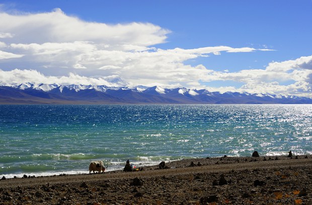 སའི་གོ་ལ་ཡོངས་ཀྱི་ཡུལ་བབ་སྲིད་བྱུས་ལ་འགྱུར་ལྡོག།
