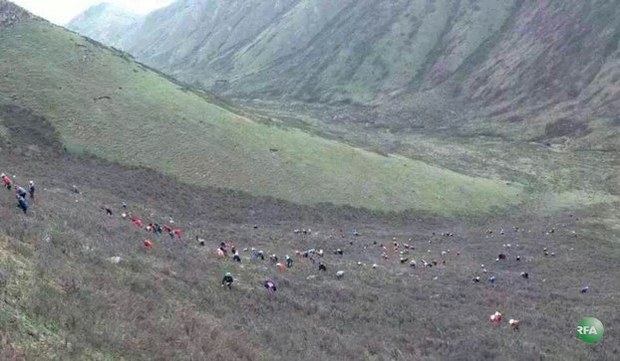 དབྱར་རྩ་དགུན་འབུས་བོད་ཀྱི་དཔལ་འབྱོར་ལ་ཤུགས་རྐྱེན་གང་འདྲ་ཡོད་མེད།