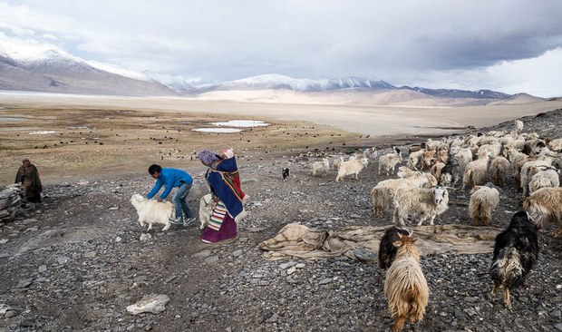 བོད་ནང་དབུལ་དོར་མཁྲེགས་གཏོར་གྱི་སྲིད་ཇུས་ལེགས་འགྲུབ་ཀྱི་དྲིལ་བསྒྲགས།