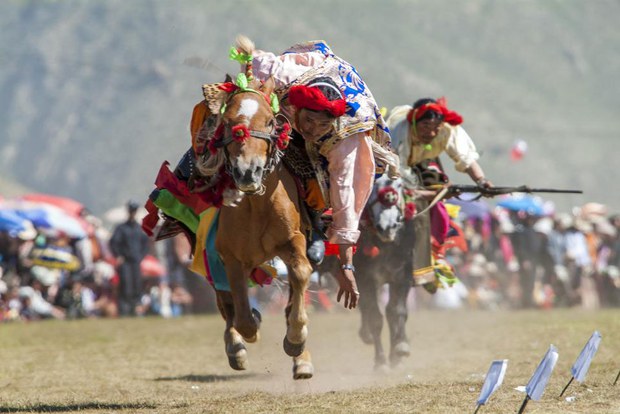 བོད་ཀྱི་རྟ་རྒྱུག་གི་སྲོལ་རྒྱུན།