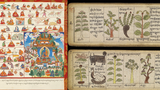 བོད་ཀྱི་གསོ་རིག་ཀྱི་ལོ་རྒྱུས་ལ་ངོས་འཛིན་བྱེད་སྟངས་དང་ཕན་ཐོགས།