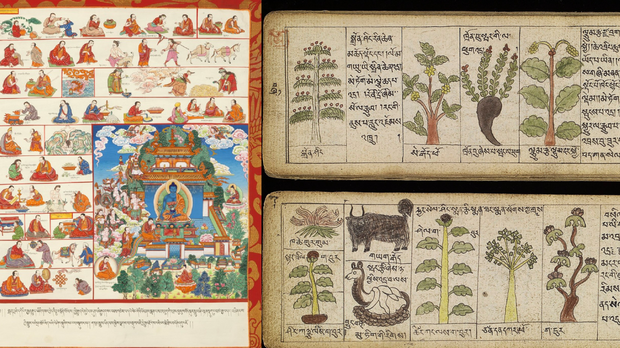 བོད་ཀྱི་གསོ་རིག་ཀྱི་ལོ་རྒྱུས་ལ་ངོས་འཛིན་བྱེད་སྟངས་དང་ཕན་ཐོགས།