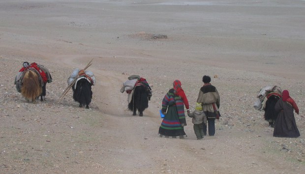 བོད་ཀྱི་འབྲོག་པའི་འཚོ་བར་དཀའ་ངལ་ཇེ་ཆེ།