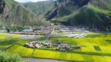 རྒྱ་ནག་གི་རྒྱལ་གླུ་ལེན་དགོས་པའི་བཙན་དབང་།