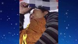 འབྲི་རུའི་ཉེན་རྟོག་པས་བོད་མིར་ཉེས་རྡུང་བཏང་བ།
