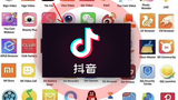 སྤྱི་ཚོགས་དྲ་རྒྱ་Tik Tok དང་རྡའུ་ཡིང་གཉིས་ཀྱི་ཁྱད་པར།