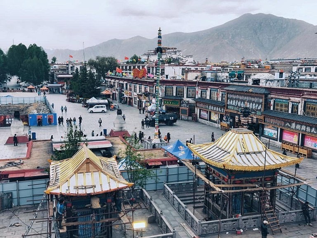 ནད་ཡམས་ཁྱབ་པའི་སྐབས་སུ་གཙུག་ལག་ཁང་མདུན་གློ་བུར་དུ་ཐོན་པའི་ལྡིང་ཁང་གཉིས།