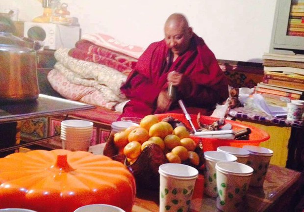 དགེ་འདུན་པ་བློ་བཟང་སྦྱིན་པ་ལགས་གློད་གྲོལ་བཏང་བ།