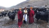 ལོ་ ༦ རིང་འབྲི་གཡག་སྲོག་བླུ་ཚེ་ཐར་བཏང་བ་དག་ལ་གཟིགས་ཞིབ།