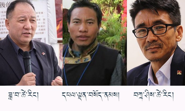 ཐེ་ཝན་གྱི་རྒྱལ་ཡོངས་སྲིད་འཛིན་གྱི་འོས་བསྡུའི་གྲུབ་འབྲས། ཐེ་ཝན་གྱི་རྒྱལ་ཡོངས་སྲིད་འཛིན་གྱི་འོས་བསྡུའི་གྲུབ་འབྲས།