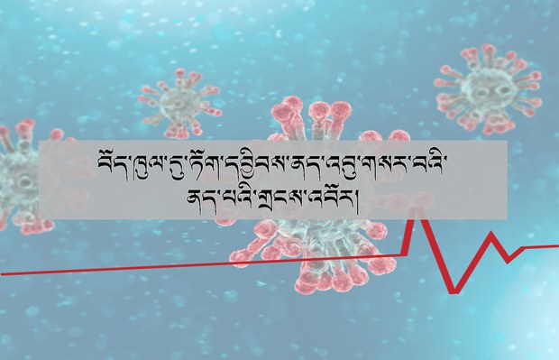 བོད་ཀྱི་ས་ཁུལ་ཁག་ཏུ་ཏོག་དབྱིབས་ནད་འབུ་གསར་བའི་རིམས་ནད་ཕོག་པའི་གྲངས་འབོར། བོད་ཀྱི་ས་ཁུལ་ཁག་ཏུ་ཏོག་དབྱིབས་ནད་འབུ་གསར་བའི་རིམས་ནད་ཕོག་པའི་གྲངས་འབོར།