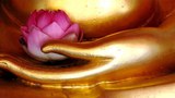 སྒོམ་ཉམས་ལེན་ལ་དོ་སྣང་བྱེད་མཁན་ཇེ་མང་།