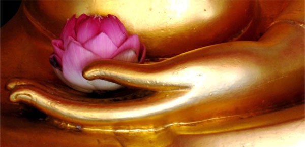 སྒོམ་ཉམས་ལེན་ལ་དོ་སྣང་བྱེད་མཁན་ཇེ་མང་། སྒོམ་ཉམས་ལེན་ལ་དོ་སྣང་བྱེད་མཁན་ཇེ་མང་།