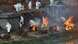 བལ་ཡུལ་དུ་ཏོག་དབྱིབས་རིམས་ནད་འགོས་ཁྱབ་ཀྱི་གནས་སྟངས།