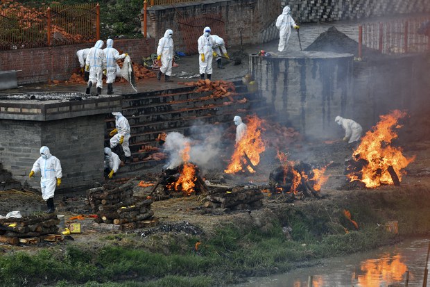 བལ་ཡུལ་དུ་ཏོག་དབྱིབས་རིམས་ནད་འགོས་ཁྱབ་ཀྱི་གནས་སྟངས།