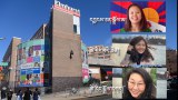 ཨ་རིའི་ནང་ཏོག་དབྱིབས་ནད་ཡམས་ཚབས་ཚེ་ཤོས་ཁྱབ་ཡུལ་ནིའུ་ཡོག