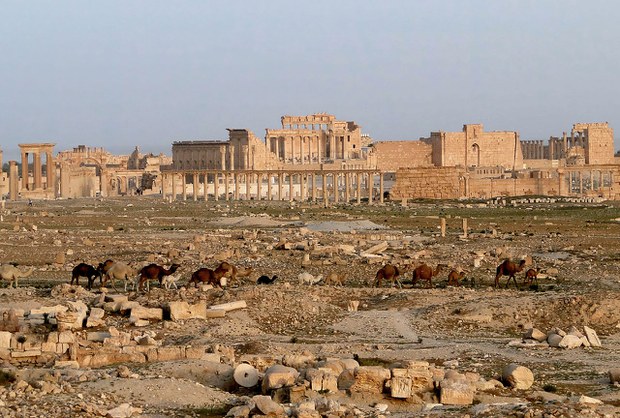Palmyra ཞེས་པའི་ས་གནས་ཀྱི་ལོ་རྒྱུས།