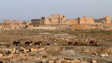 Palmyra ཞེས་པའི་ས་གནས་ཀྱི་ལོ་རྒྱུས།