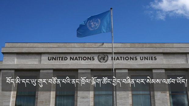 བོད་མི་དང་ཡུ་གུར་བཙོན་པའི་ནང་ཁྲོལ་ལྐོག་ཚོང་བྱེད་བཞིན་པར་སེམས་འཚབ་ཡོད། མཉམ་འབྲེལ་རྒྱལ་ཚོགས་ཀྱིས།